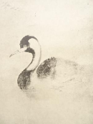 道具 道具 俵屋宗達 国宝蓮池水禽図 印刷紙本掛軸 共箱 ネットショップ圭 Netshop Kei 古美術 骨董 茶道具 書画の販売サイト