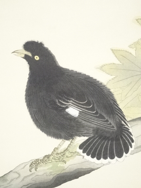 道具 ] - 道具 横山大観 叭叭鳥図 木版画紙本掛軸（共箱・二重箱）115 